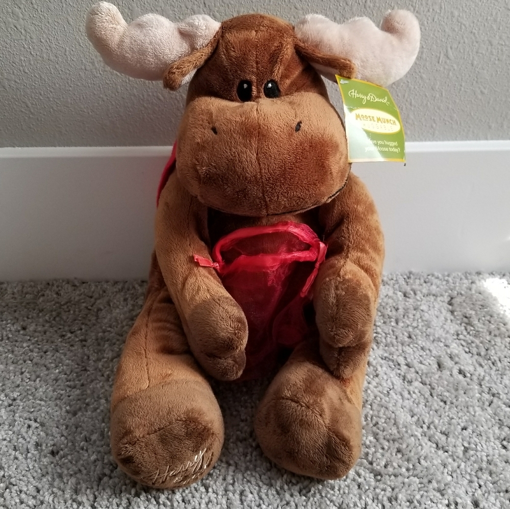 Munchie the Moose